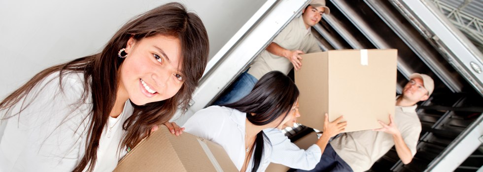 Professional Removalists Metcalfe East
